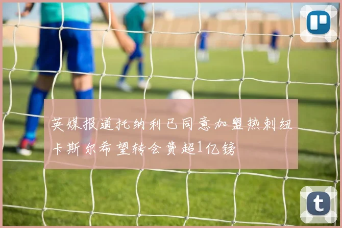 英媒报道托纳利已同意加盟热刺纽卡斯尔希望转会费超1亿镑