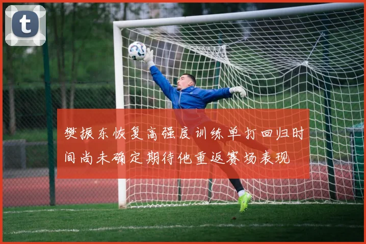 樊振东恢复高强度训练单打回归时间尚未确定期待他重返赛场表现