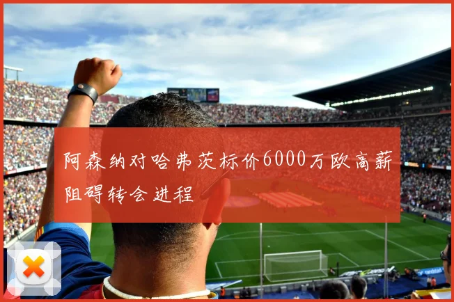 阿森纳对哈弗茨标价6000万欧高薪阻碍转会进程